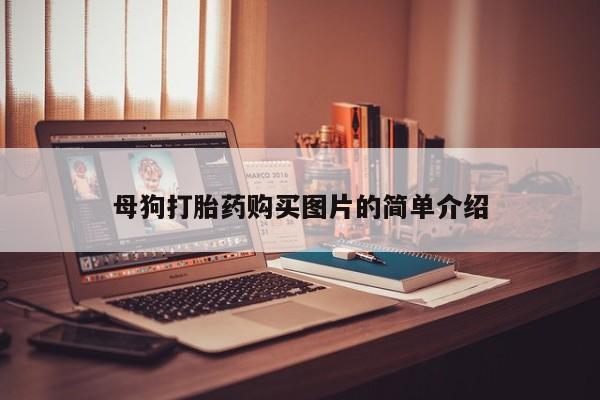 私人网购打胎药母狗打胎药购买图片的简单介绍